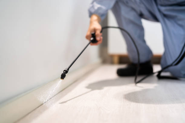 Certified termite inspector examining foundation in Bacliff