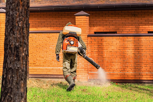 Top rated local Mosquito Control specialists in Bacliff, TX
